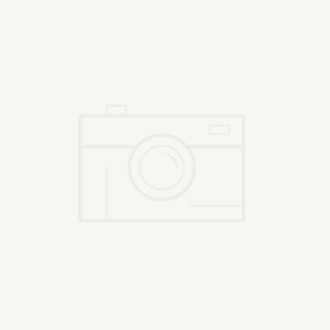 寫生現(xiàn)場(chǎng)